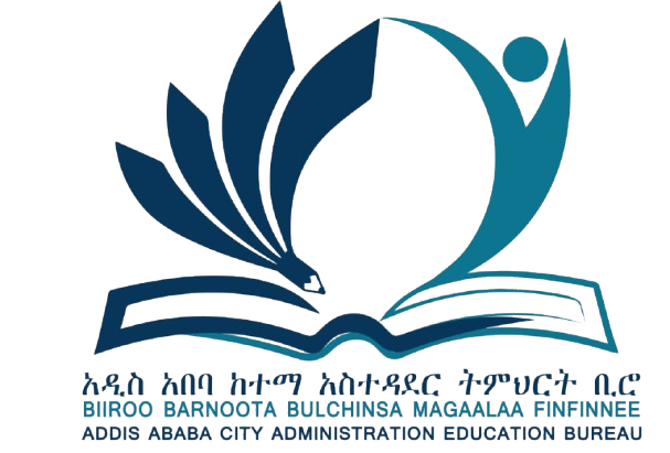 Addis Ababa Education Bureau Guide